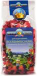 BioKing Bio Bogyós gyümölcskeverék - 40 g