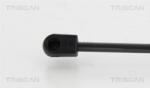 TRISCAN Amortizor capota TRISCAN 8710 44101 (8710 44101) - fixbox