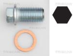 TRISCAN surub de golire, baia de ulei TRISCAN 9500 1012 (9500 1012)