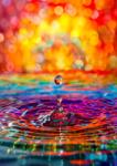 Enjoy - Puzzle Slapsh de viață - 1 000 piese Puzzle
