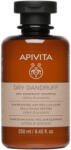 APIVITA Dry Dandruff sampon de par împotriva mătreții & uscăciunii 250 ml
