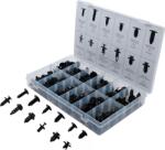 BGS technic Sortiment şuruburi-clips extensibile tip brăduţ şi din plastic universal 192 piese (BGS 9780) (9780)
