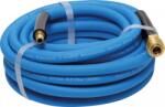 BGS technic Furtun aer comprimat 10 m (BGS 9087) (9087)
