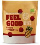 SvetPlodu Diet Food Bites Prebiotice FEEL GOOD