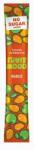 SvetPlodu Sergio Fruit Mood Mango Bar fără zahăr adăugat