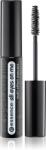 Essence Rimel All Eyes on Me 01