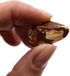 Csakra Shop Kicsi Afrikai Marokkövek - Jáspis 10 mm