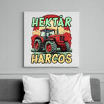printfashion Hektár Harcos - Vászonkép - Fehér (17051516)