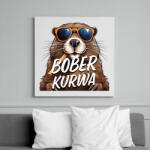 printfashion Bober Kurwa - Vászonkép - Fehér (16935078)