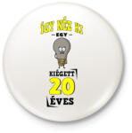 printfashion igy néz ki egy kiégett 20 éves - Kitűző, hűtőmágnes - Fehér (17239343)
