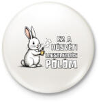 printfashion LOCSOLKODÓS PÓLÓM - Kitűző, hűtőmágnes - Fehér (17350826)