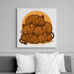 printfashion Alvó deguk - Vászonkép - Fehér (17450232)