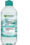 Garnier Skin Naturals Hyaluronic cu aloe si acid hialuronic 400 ml