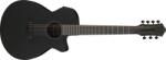 Ibanez AEG721-BOT