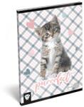 Lizzy Card Füzet LIZZY CARD A5 32 lapos vonalas 21-32 purrrfect (19504) - nyomtassingyen