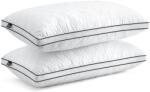 BedStory Perna BedStory 40x80cm Set de 2 perne, Perna de dormit din microfibre 2X950g, Perne de pat respirabile si lavabile, ideale pentru un somn profund odihnitor, certificat Oeko-Tex (HXLG-4080)