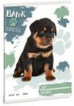 Ars Una Füzet sima ARS UNA A/5 32 lapos 20-32 Bátor mancsok-Rottweiler (53614995) - fotoland