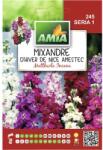 AMIA Semințe flori Amia mixandre amestec (AM245)