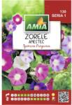 AMIA Semințe flori Amia zorele Ipomoea Purpurea amestec (AM130)