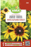 AMIA Semințe flori Amia rudbechia Hirta (AM260)