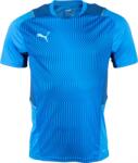 PUMA Teamcup Training Jersey (65673506)
