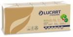 Lucart Papír zsebkendő, 4 rétegű, 10x9 db, LUCART EcoNatural, barna - officeland