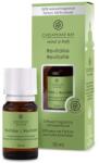Chesapeake Bay Candle Revitalise Aromaolaj - yankeegyertya