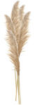 Clayre & Eef Buchet 5 flori Pampas bej 11x8x142 cm (5DF0044)