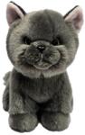 Silky Плюшена играчка Silky - Персийска котка, 18 cm (75993-2) - ozone