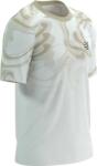 Compressport Performance Ss Tshirt M (atsm4920051)