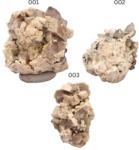  Ortoclaz cu Cuart Fumuriu Natural Brut - Piatra de Echilibru si Conectare Pamanteasca - 35-75 x 28-55 x 23-45 mm - ( XXL ) - 1 Buc