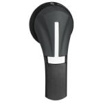 Schneider Electric TeSys - GS2AH220 - Fupact GS rotációs hajtás külső, jobb oldal 32. . . 63A IP65 piros (GS2AH220)