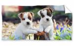 Carbotex Fürdőlepedő - Jack Russell terrier (051000-OSUSKL188A)