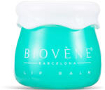 Biovene Balsam ultra hidratant pentru buze uscate si crapate Plump-Me Yummy! , 8g, Biovene