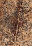  Covor lana Paulus coppery Selectează mărime: 300 X 400 Covor