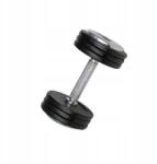 inSPORTline Krómozott fix súlyzók inSPORTline 1x 30 kg (1914)