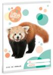Ars Una Ars Una: Cuki vörös panda vonalas füzet A/5 21-32