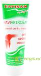 FAVISAN Faviartrosan crema pentru articulatii 100 ml