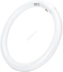 Aigostar Флуоресцентна тръба T9 G10q/32W/230V 6500K - Aigostar (AI1930)