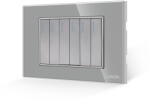 Luxion Intrerupator Mecanic 6 Posturi LUXION cu Rama din Sticla, Standard Italian, 3M - culoare gri