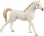 Schleich HORSE CLUB Arabian Stallion, white ( )
