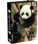 T-Creativ Pandás füzetbox - A4 - T-Creatív (TC25-D030040A4-904329-1PANDA)