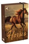 T-Creativ Lovas füzetbox - A4 - T-Creatív (TC25-D030040A4-904329-2HORSES)