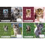 T-Creativ Cicás füzetborító - T-Creatív - 4x5 darabos (TC25-N12068TKI-979723)