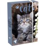 T-Creativ Cicás füzetbox - A5 - T-Creatív (TC25-D030040A5-904312-8CICA)