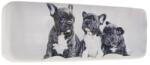  Francia bulldog szemüvegtok (Francia bulldog T2564-3 C3)