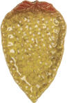 Clayre & Eef Platou ceramica maro galbena 15x10x2 cm (6CE2159) Tava