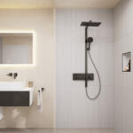 Hansgrohe Raindance Alive Q (24591670)