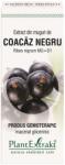 PlantExtrakt Coacaz Negru Extract 50 ml
