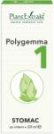 PlantExtrakt Polygemma 1 Stomac 50 ml